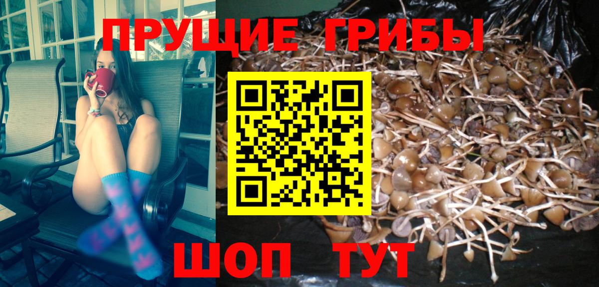 Галлюциногенные грибы мицелий  Галлюциногенные грибы MAGIC MUSHROOMS  Вход с VPN  Анапа 